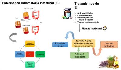 PhD Algieri Premio