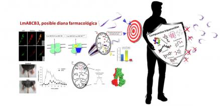 imagen-tesis-marta-2