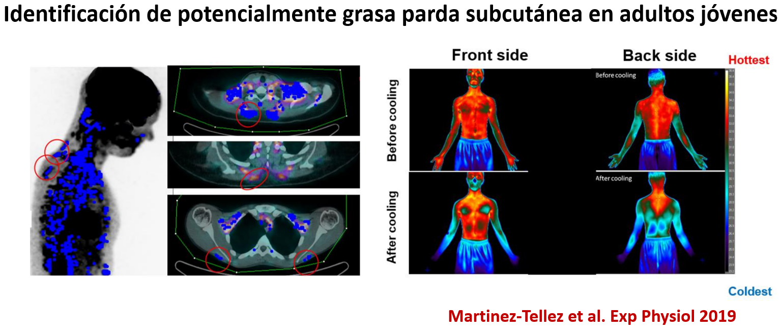 Imagen Martinez Tellez