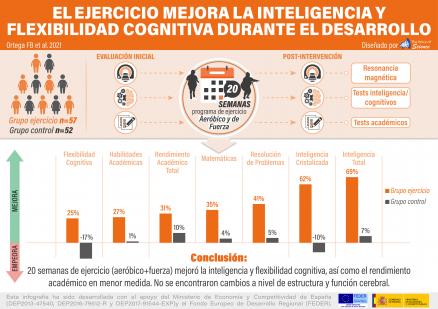 2. Exercise improves intelligence and cognitive flexibility during development_Español