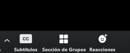 grupo-zoom